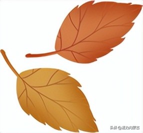 鹊刀门传奇拍摄基地,鹊刀门传奇拍摄地广西哪里