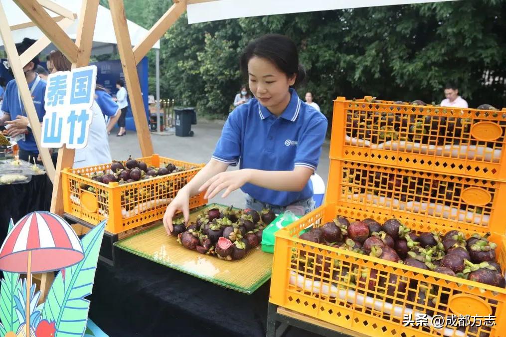 月鉴贾平凹,月鉴