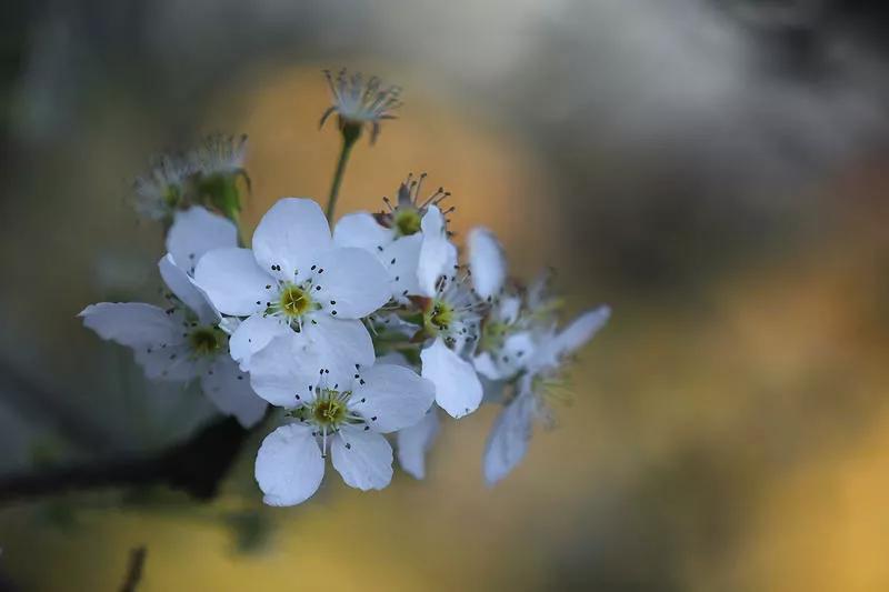 面对为难你的人,不必急着翻脸,要学会这样处理