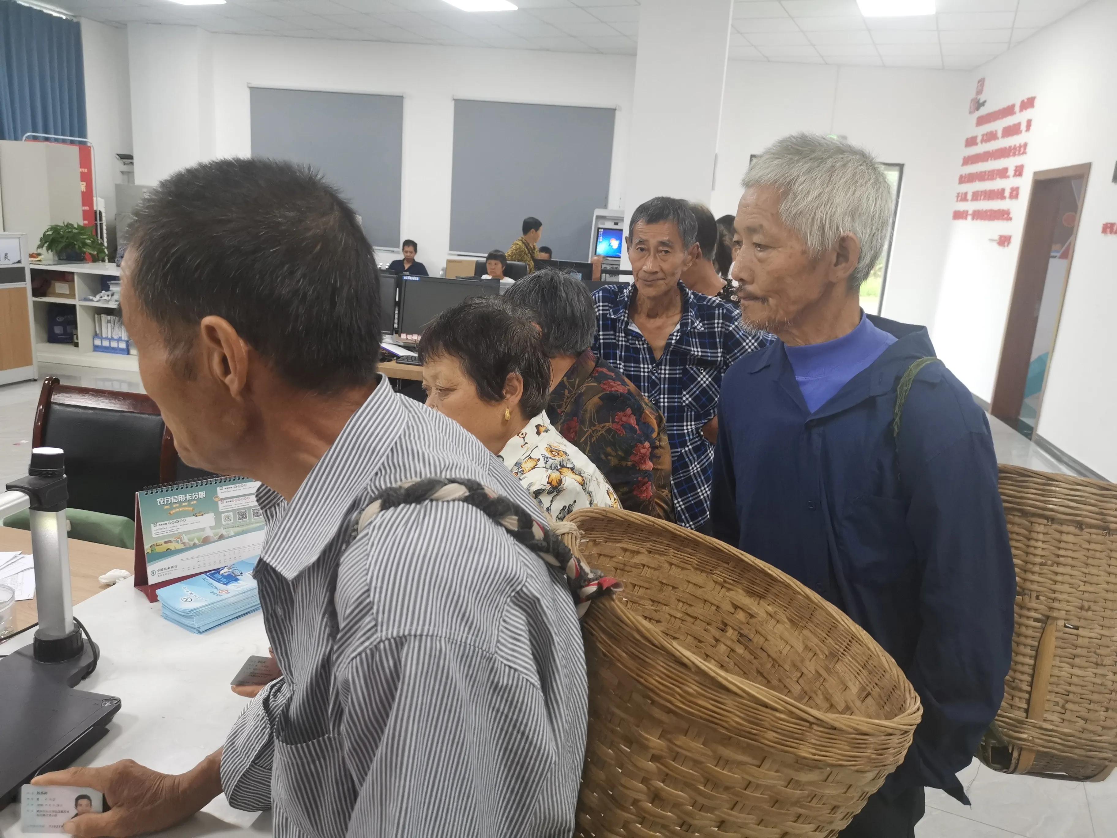 “藏粮于地藏粮于技藏粮于民”的乡镇探索