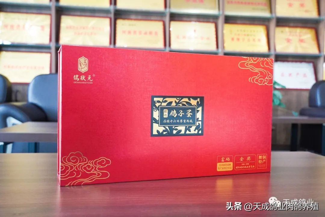 天成鸽业的现状,天成鸽业信鸽