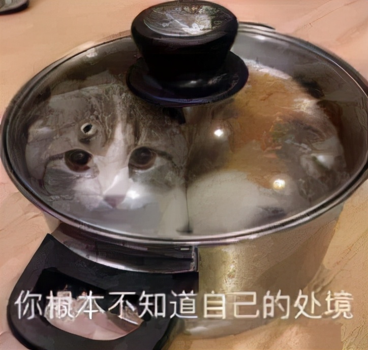 遭遇投资骗局之后怎么办,投资中发现存在欺诈行为如何处理