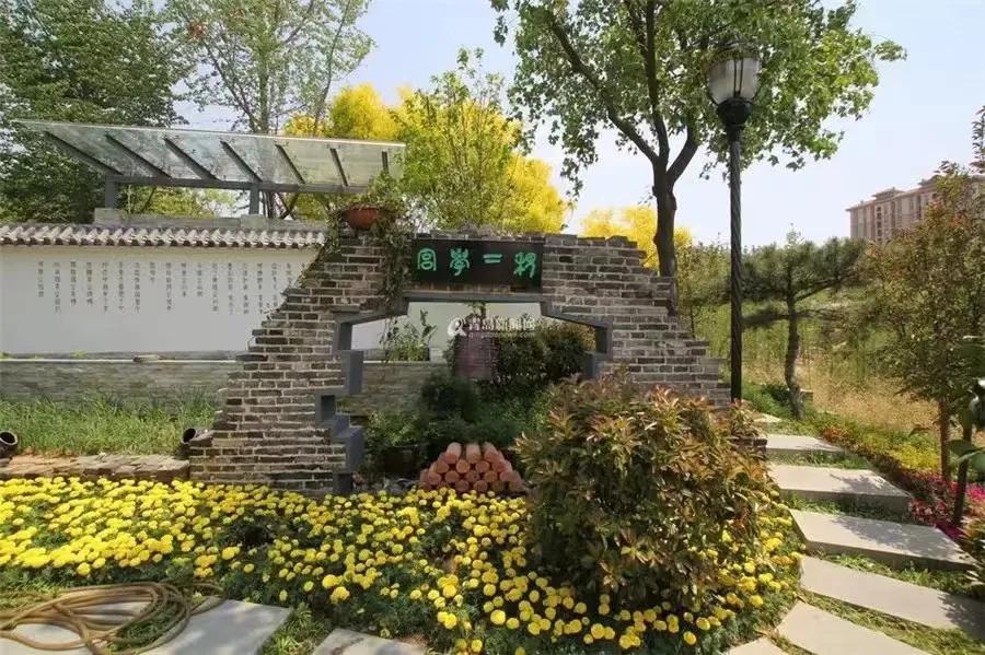 你知道世界上最豪华的大学吗,国家第一所最高学府