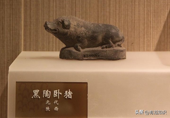 韩媒:五花肉是中国人剽窃韩国人的,网友:猪的历史都比TA长