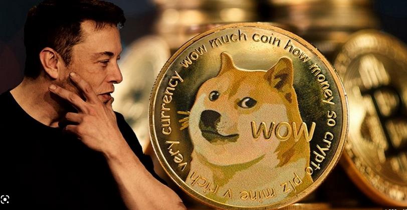 马斯克twitter改革,马斯克又喊话狗狗币