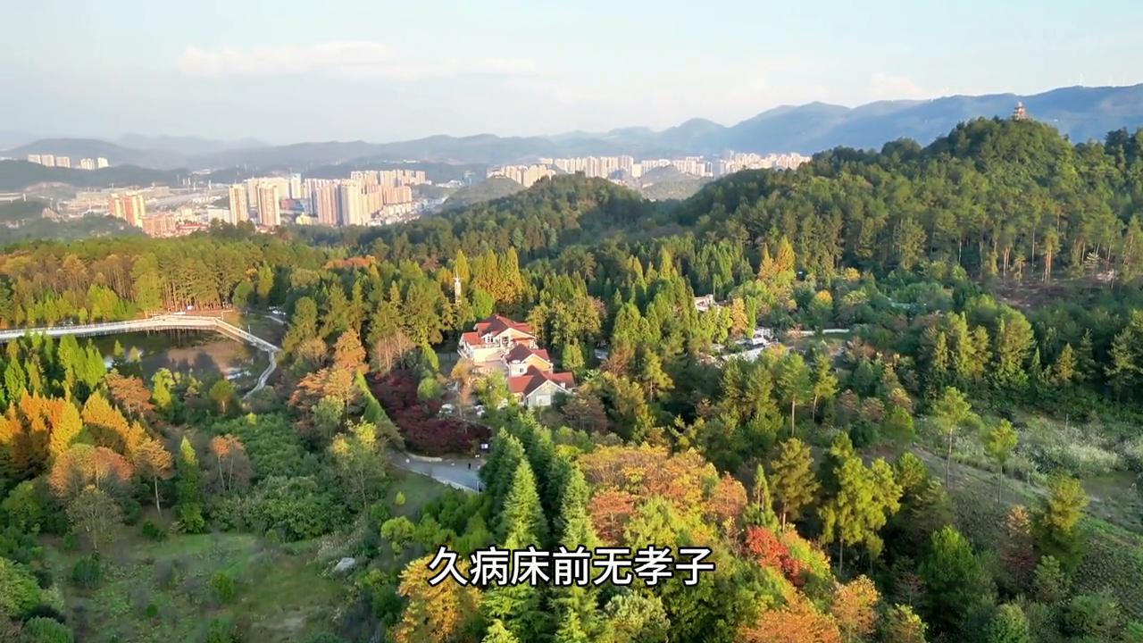 佛教的七苦三毒七情六欲,佛如何看待生老病死