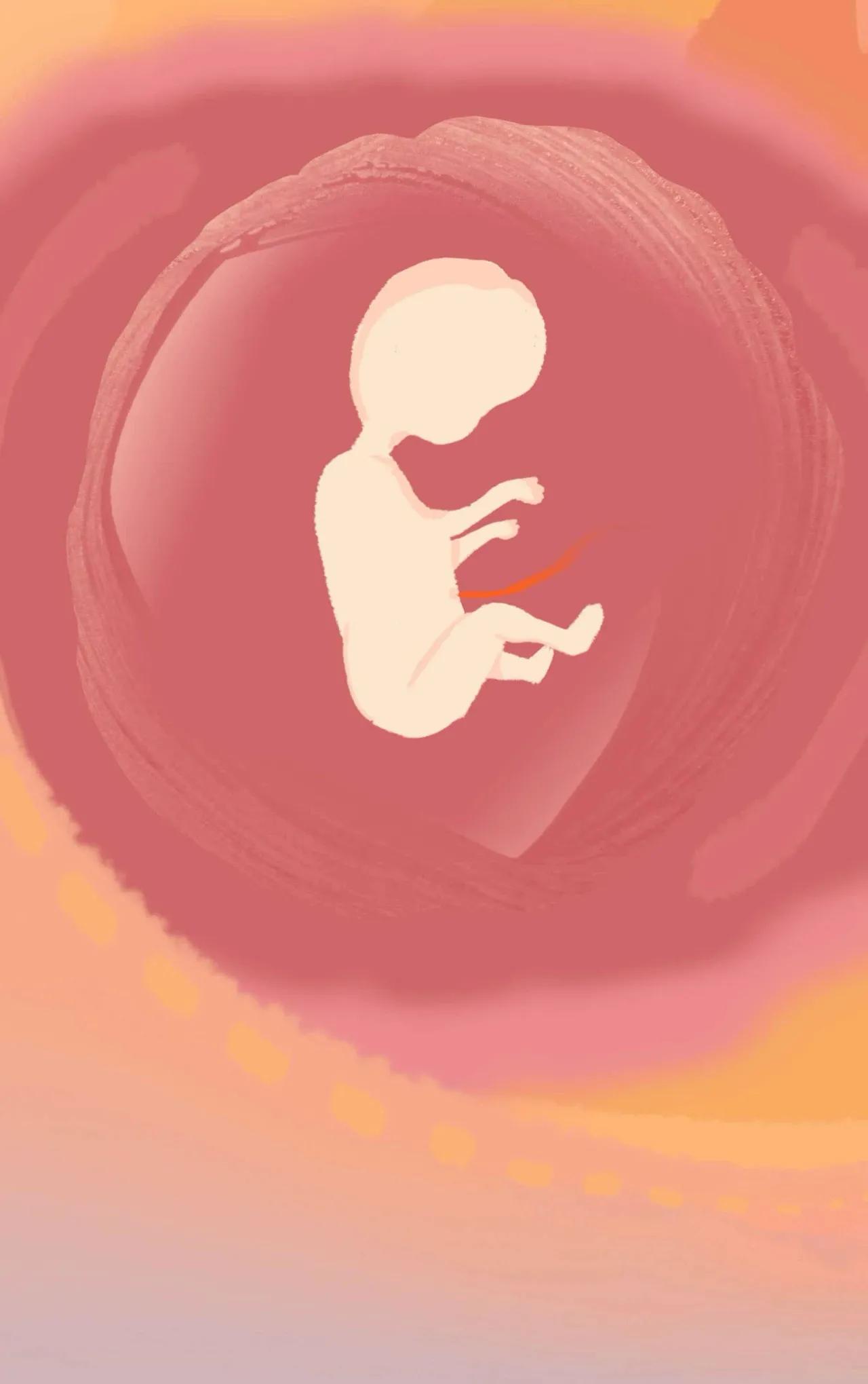 精子进入女生体内的全过程