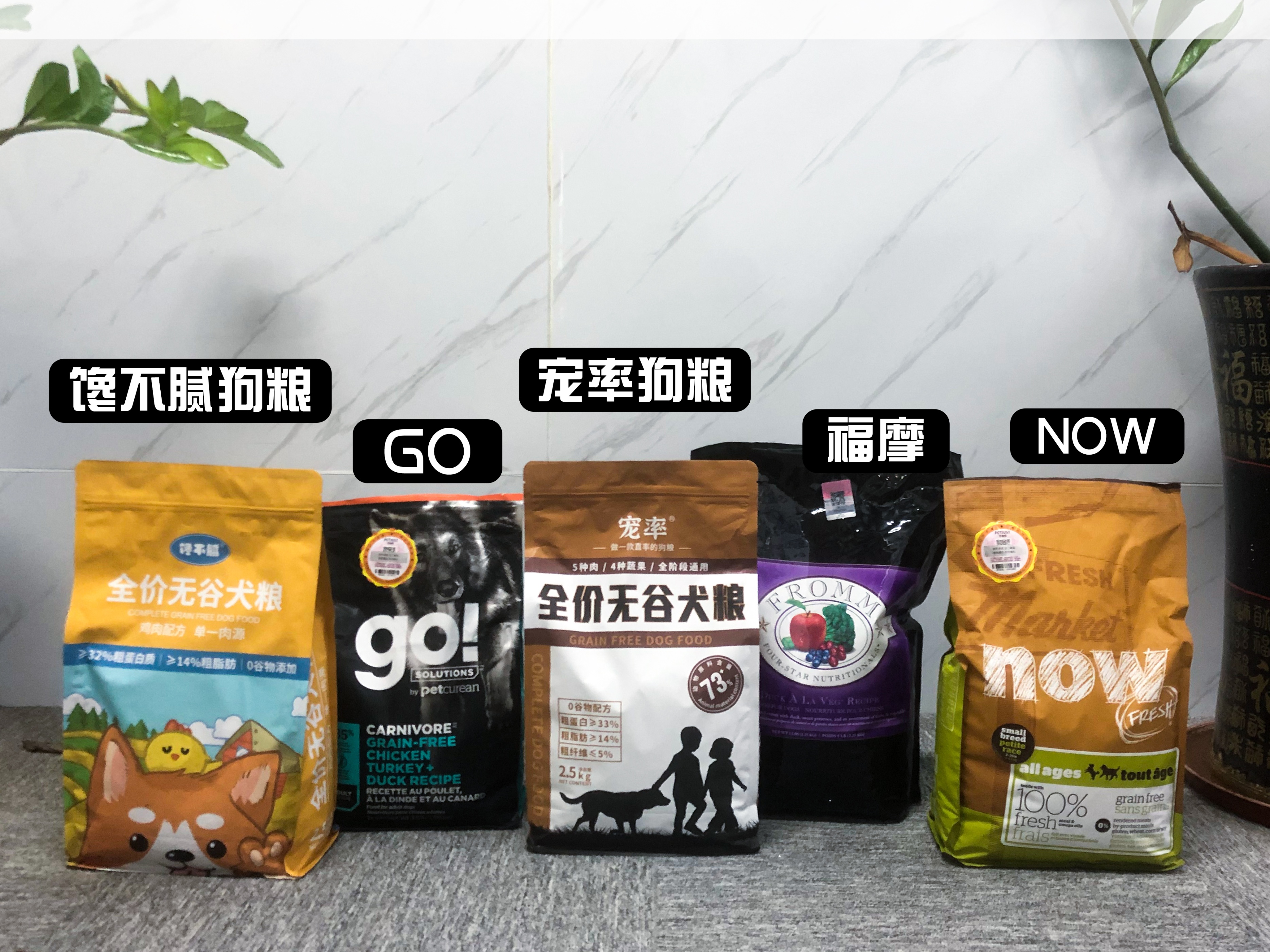 既高智商又可以保护你的大型狗狗,这些狗狗有多可爱长大就有多傻