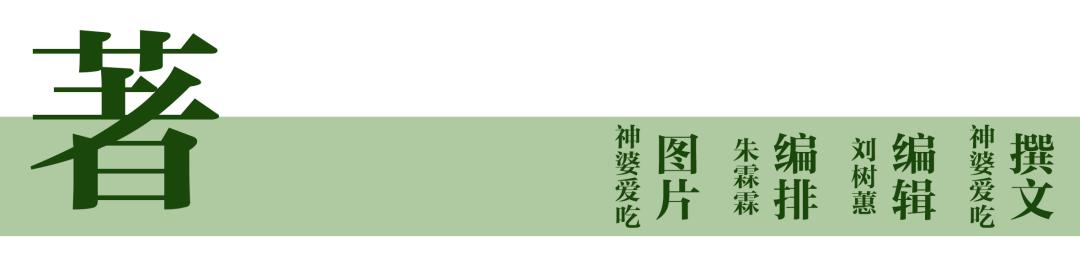 山茶油咋样,山茶油真的好香