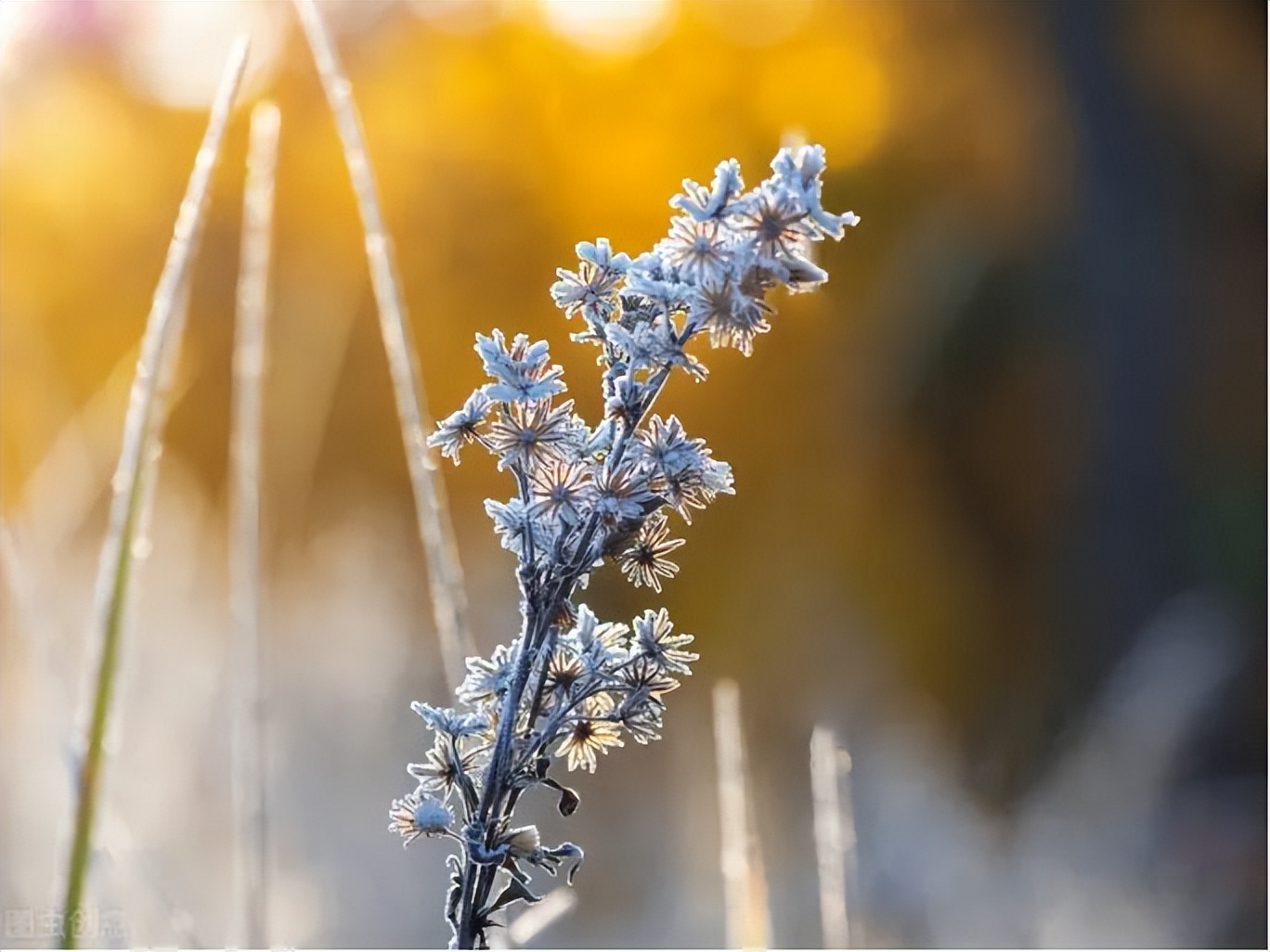 立冬后吃什么最好最有营养,立冬后少吃三物多吃4种水果