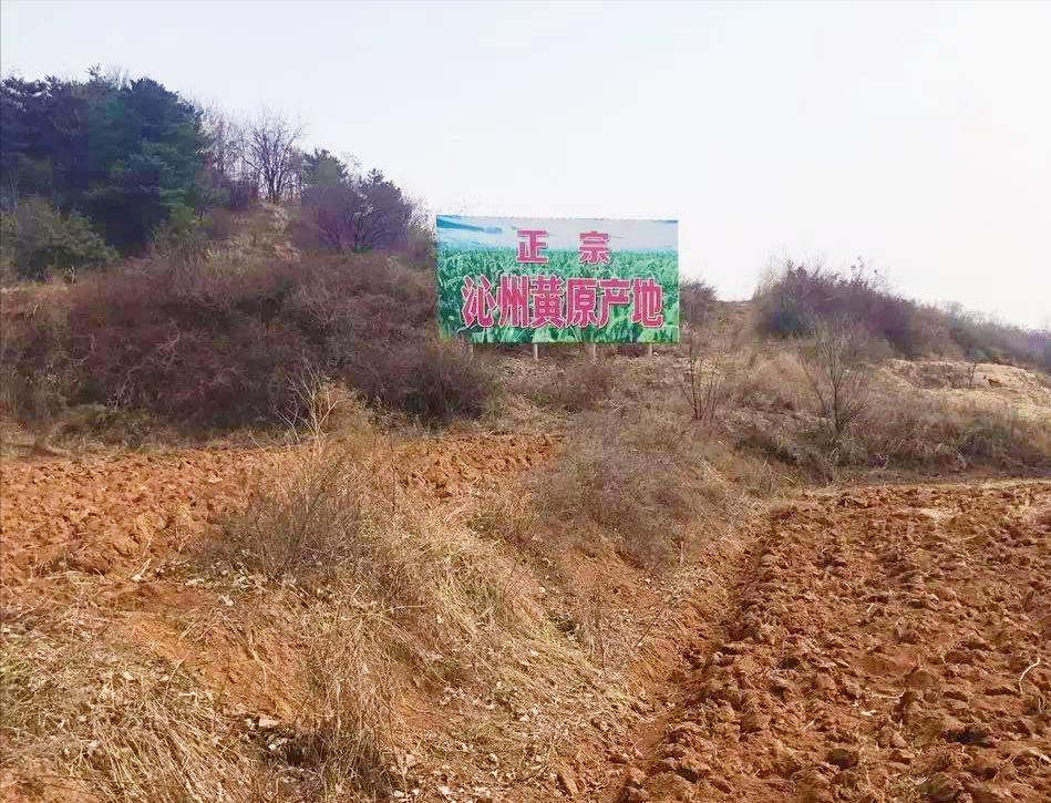 晋味美沁州黄小米怎么样,沁州黄小米10斤装多少钱