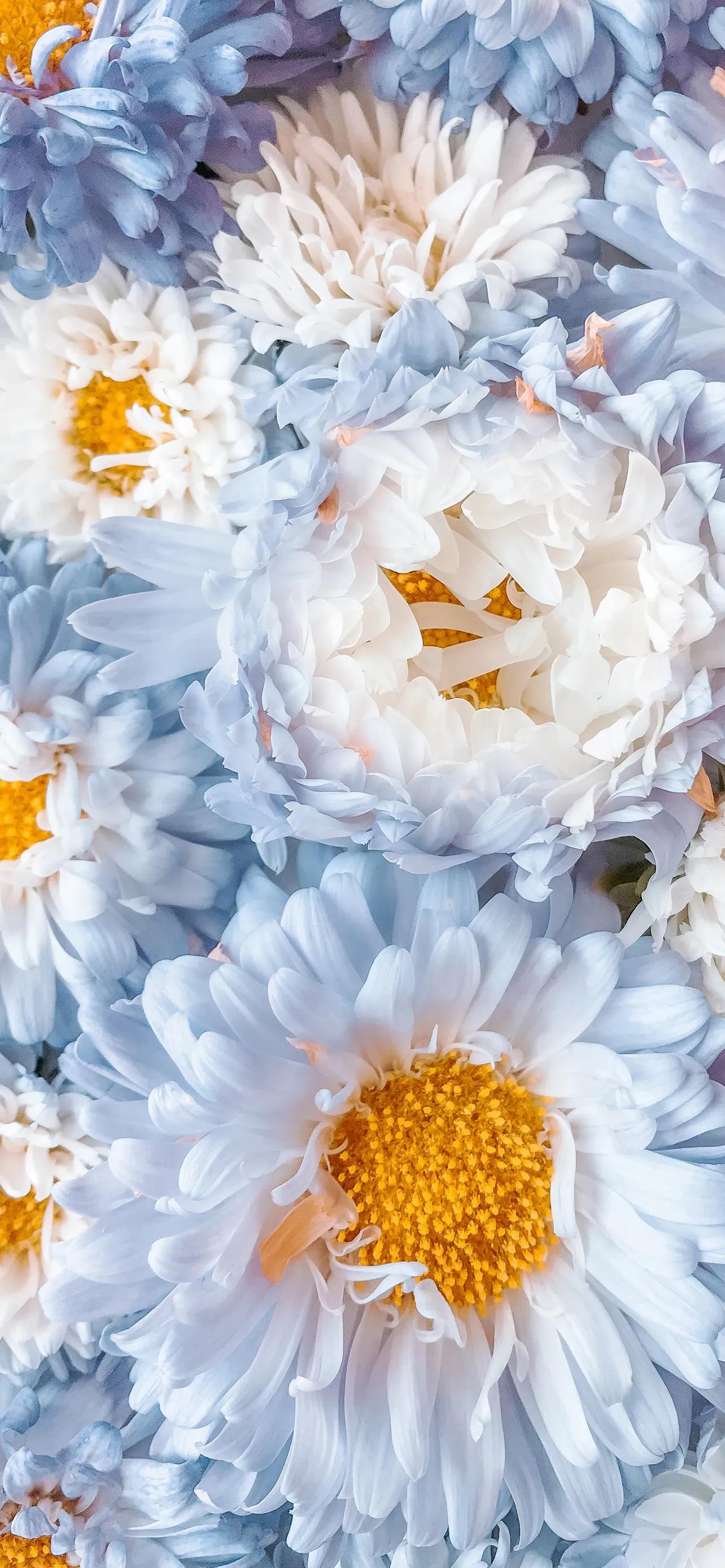 高清壁纸全面屏手机,围棋壁纸高清全面屏