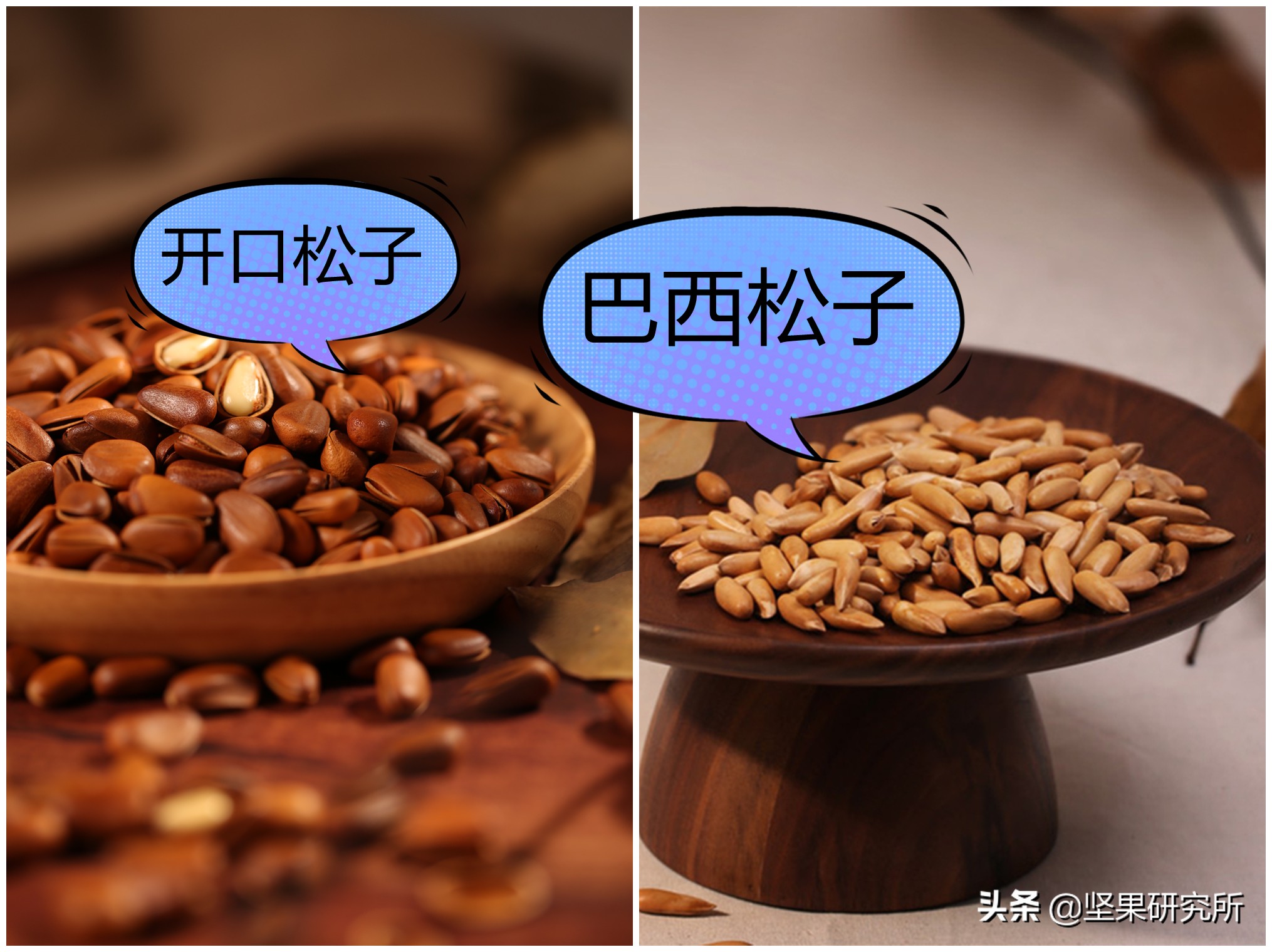巴西松子的果是什么样的,巴西松子与东北松子营养有区别吗