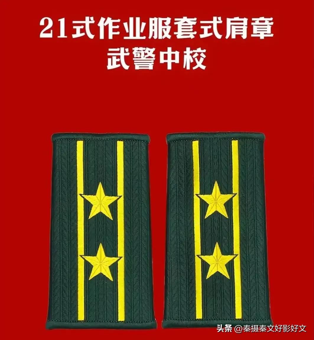 陆海空火箭军*警武**部队全套常服肩章和21式作业服套式肩章