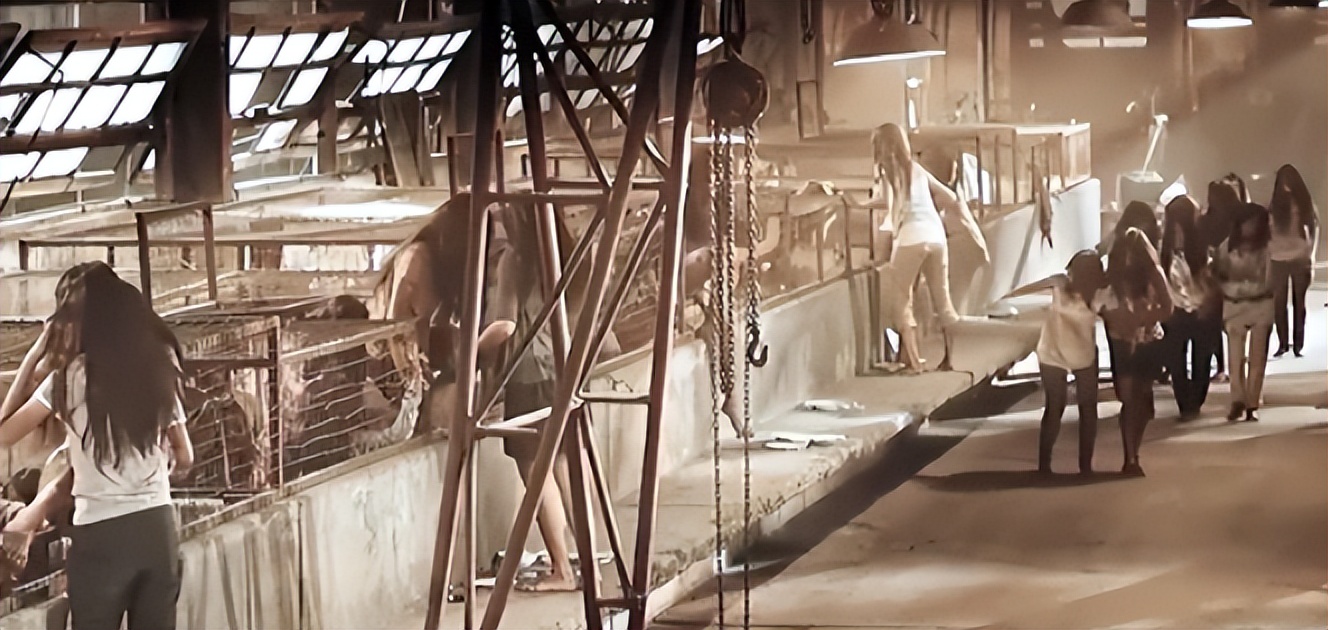 国人去缅北卖“人肉”，挂平台公然贩卖，竟然是“合法”的？