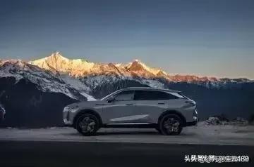 积思顿释的典故,积思顿释意味什么