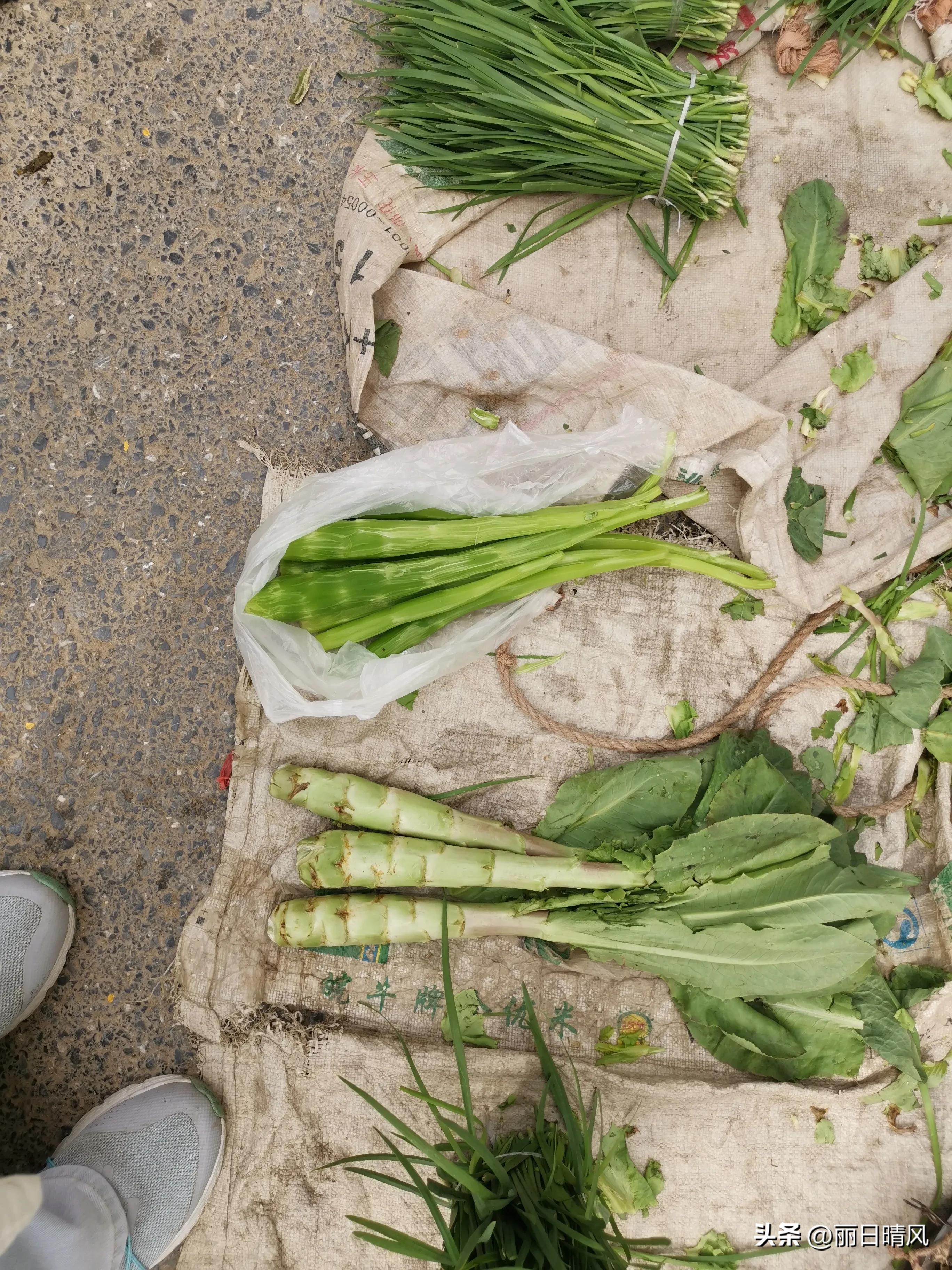 我的退休慢生活,我的退休生活该何去何从