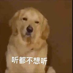 交友聊天第一个表情包,年底回家相亲表情包