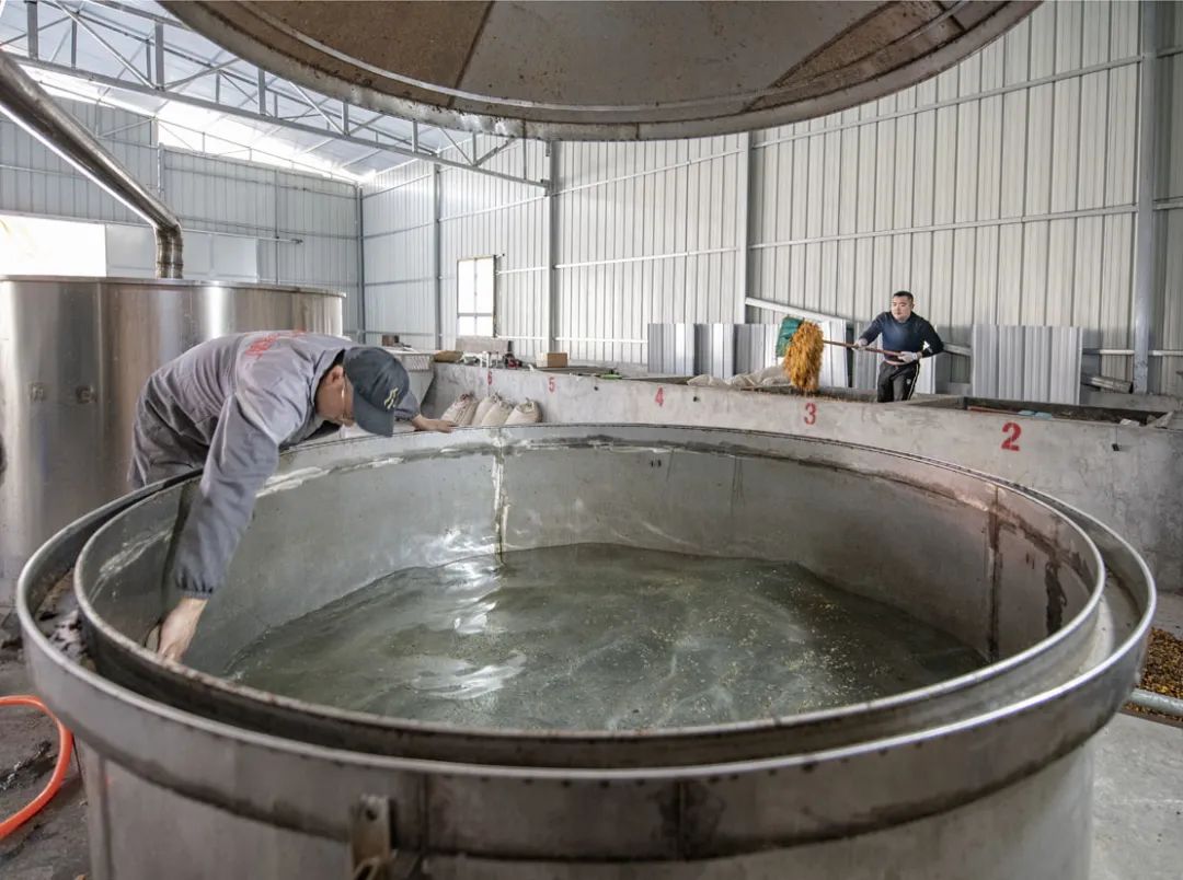 乡村振兴汶川县,我眼中的乡村振兴创业青年