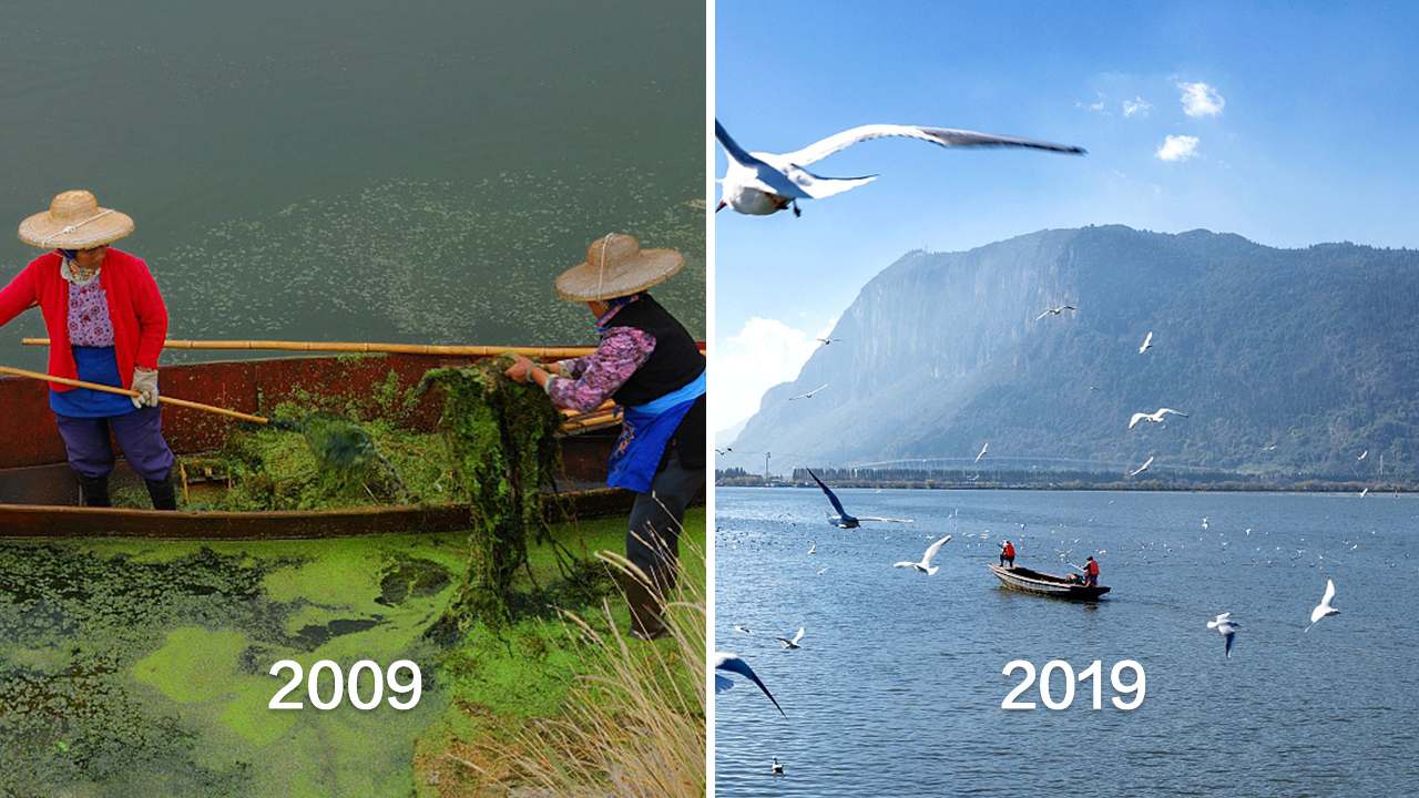 昆明滇池臭湖,滇池到底怎么样了