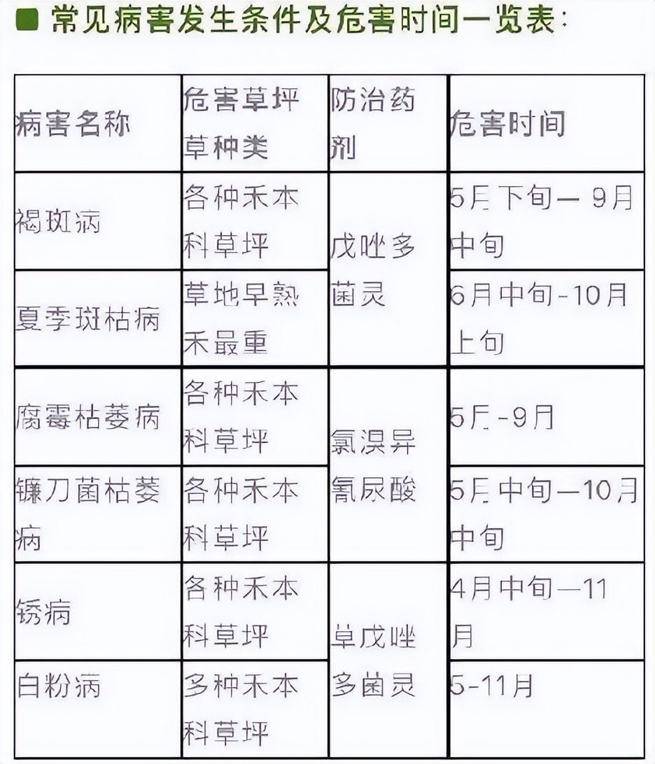 12月份园林绿化养护工作重点,元月份园林养护重点工作
