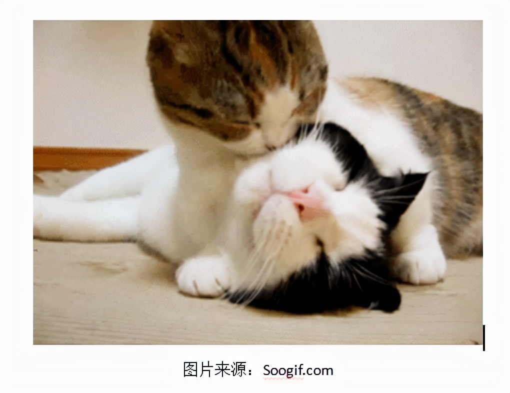 怎样的避孕措施不会怀孕,怎样避孕才不靠谱