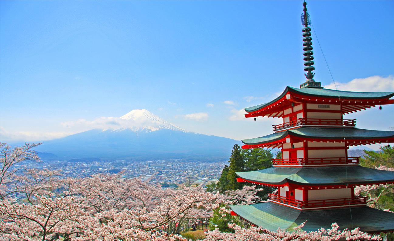 鏃ユ湰缃戞皯鐑涓浗鏃呮父,鍘绘棩鏈湅妯辫姳