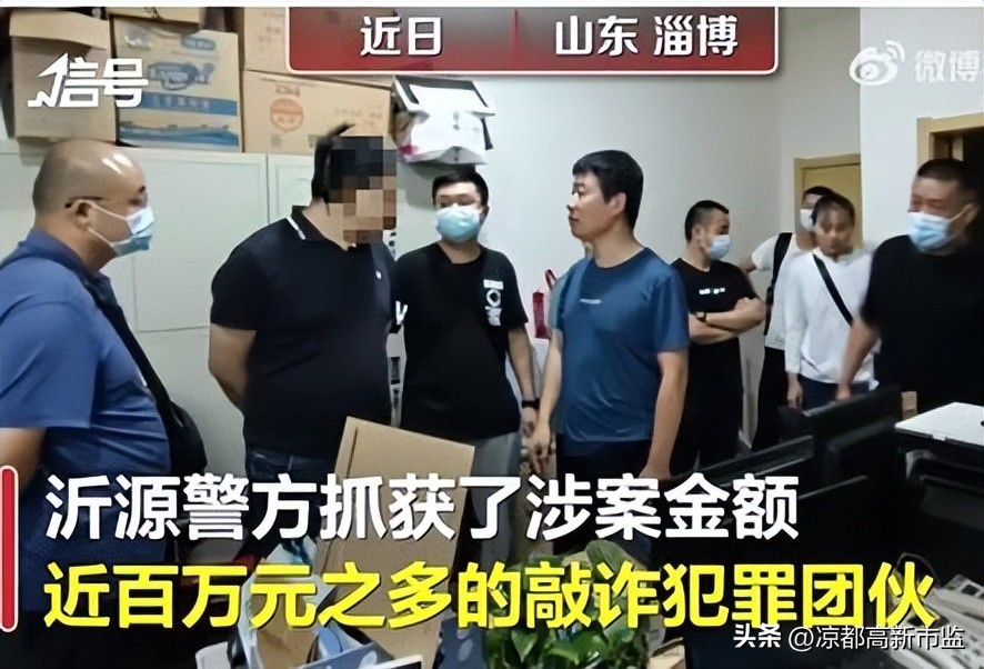 职业打假人敲诈勒索案例及解析,网店职业打假500元构成敲诈勒索吗