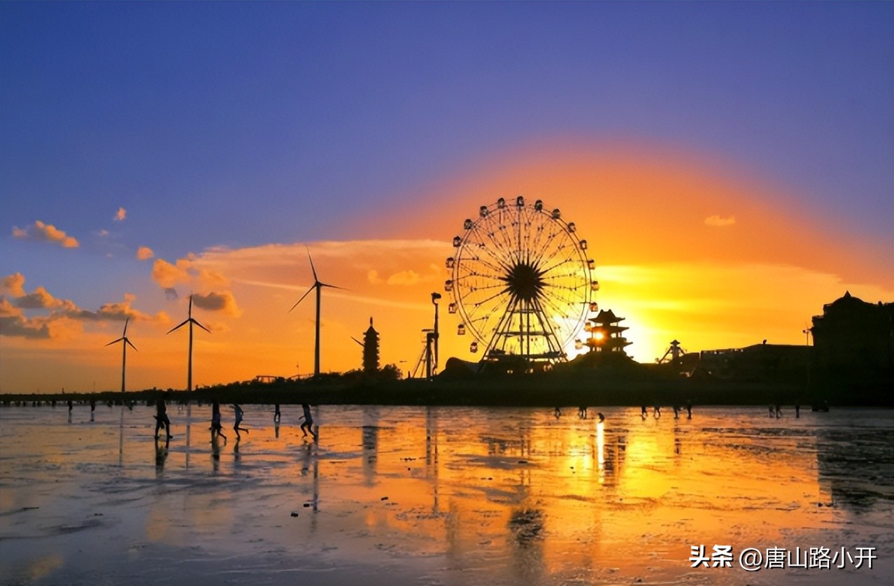 老年人相亲纪实,上海40岁单身大叔相亲