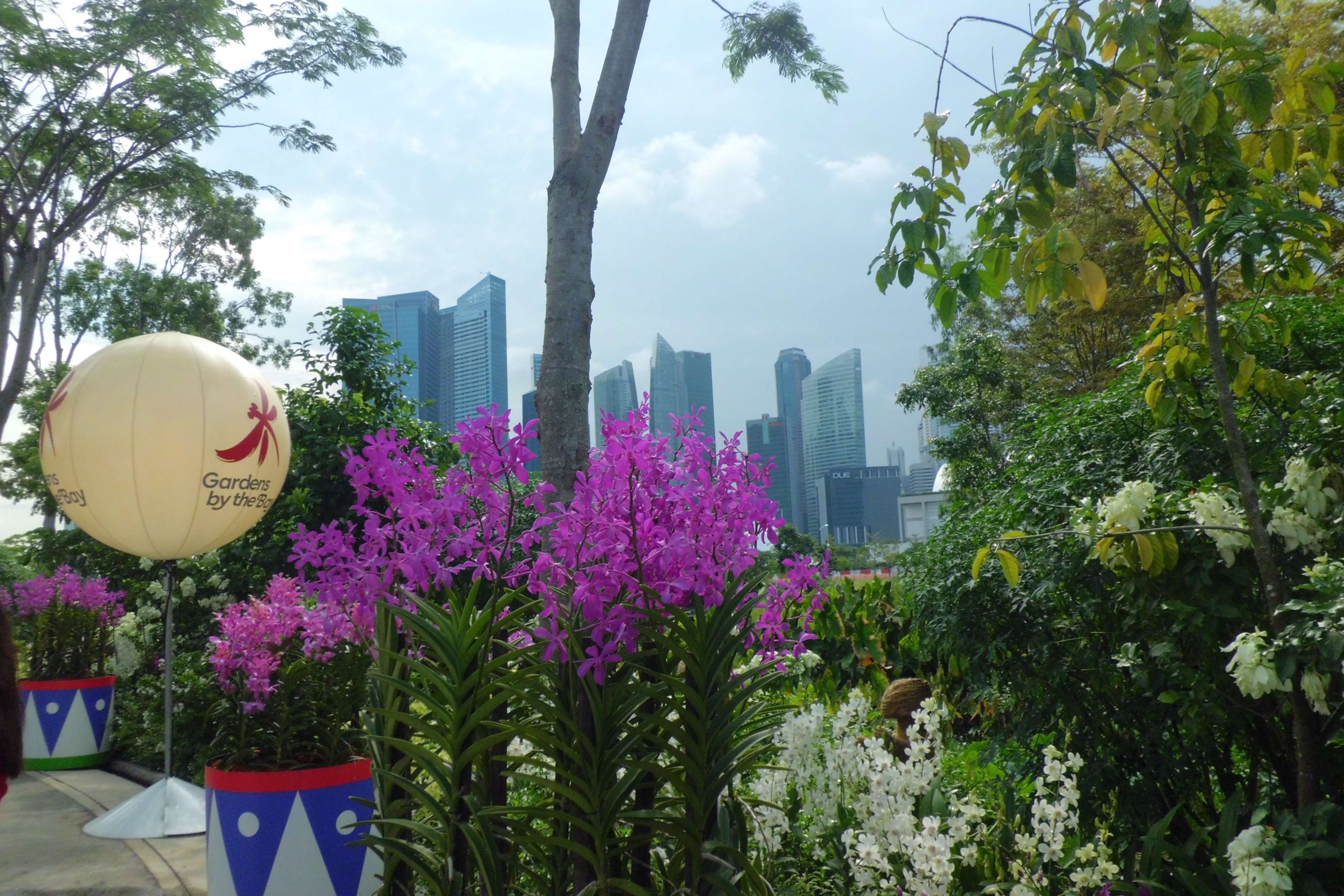 新加坡滨海湾金沙花园景观房,新加坡金沙空中花园高清图