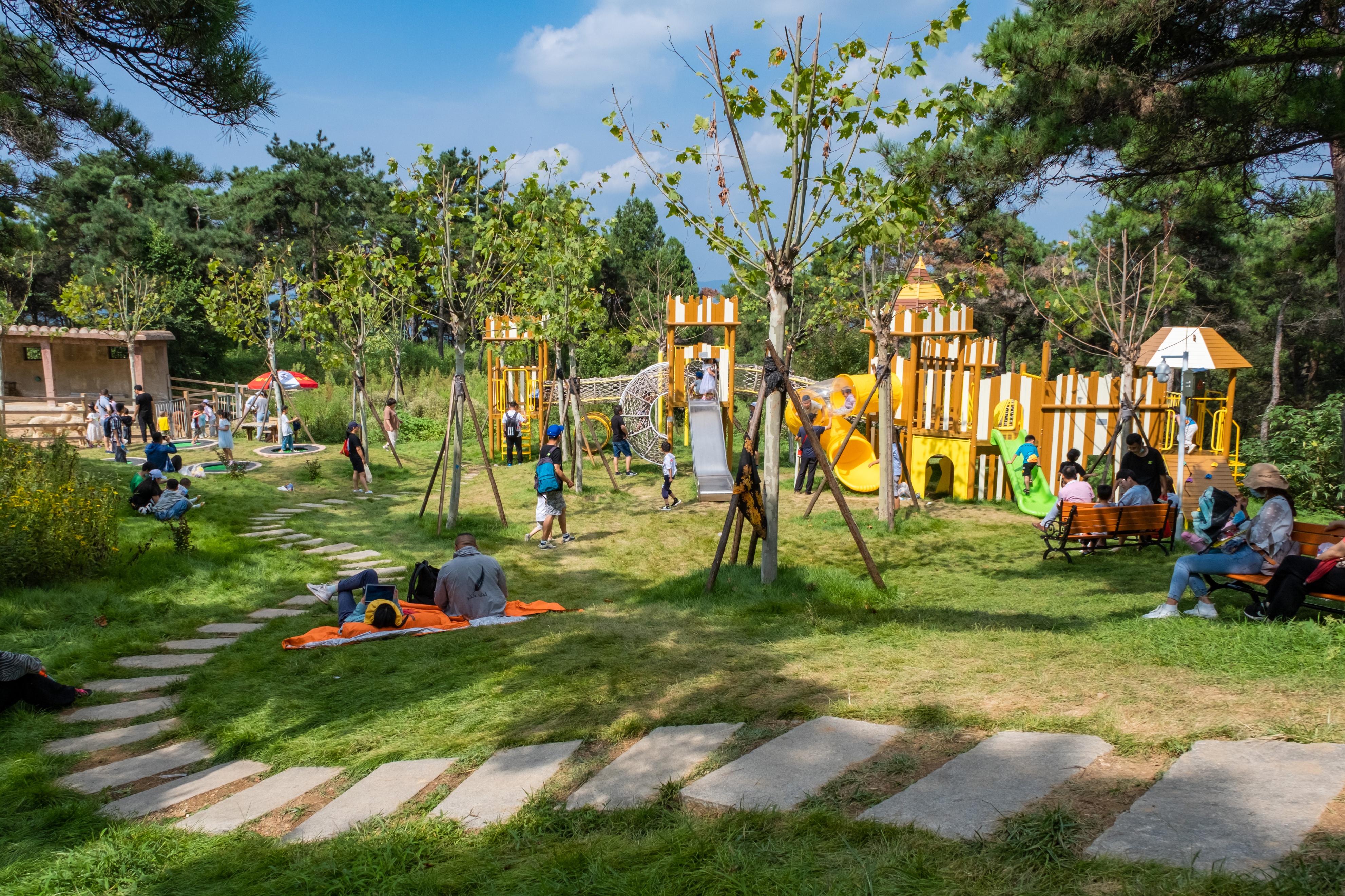 踏青济南攻略,济南黄河边春游攻略