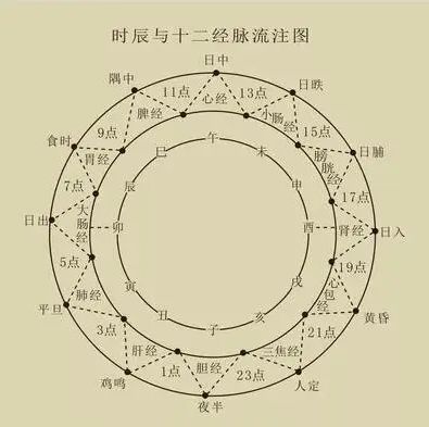 春分主要阳气少阴气多,春分以后阳气上升是养阳还是增阴