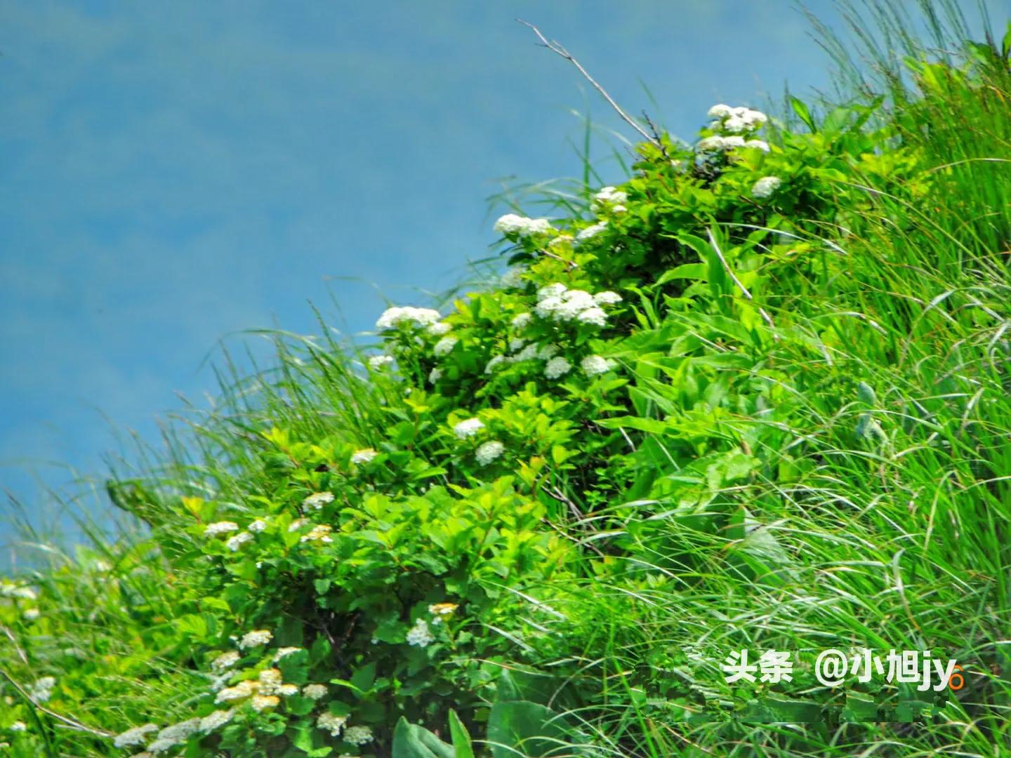 做快递驿站累不累,做个快递驿站员有多辛苦