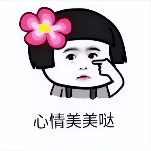 刘诗诗彩色铅笔画,刘诗诗立体画