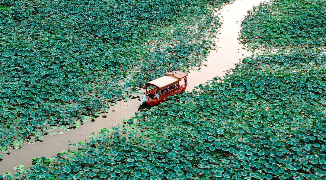 鹤山古劳水乡自由行,鹤山自由行攻略