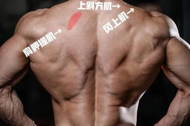 运动肩膀疼痛怎么缓解视频,运动肩膀僵硬紧绷怎么缓解