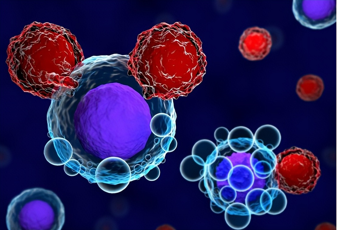 被世卫组织列为第一类致癌物,羊肉被世界卫生组织列为致癌物质