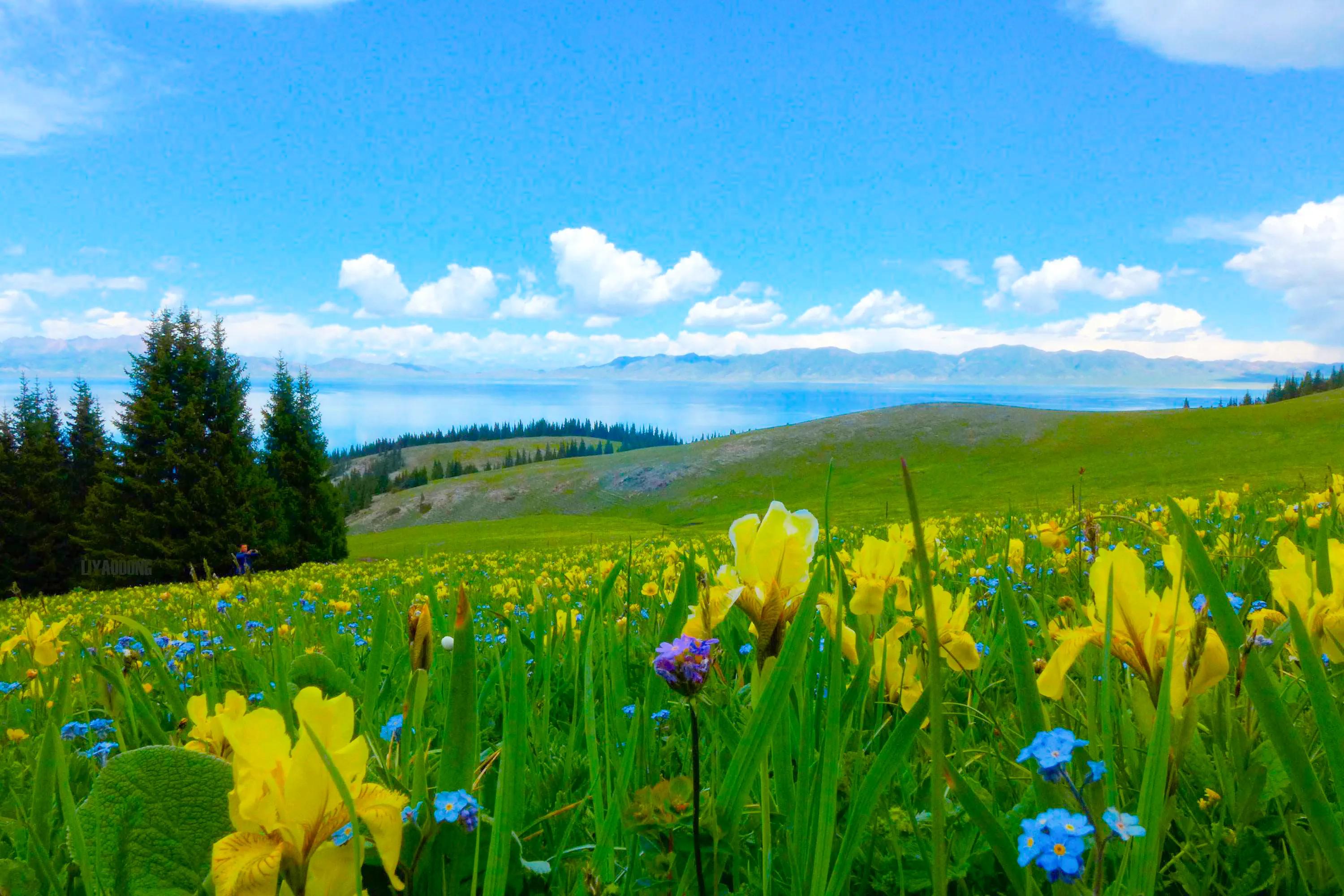 人生难得静心,人生难得清净心