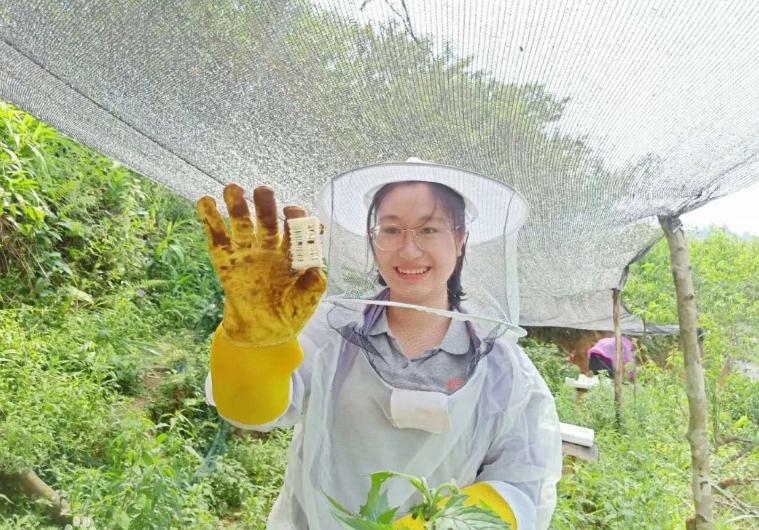 扶贫人物黄文秀,黄文秀立志扶贫