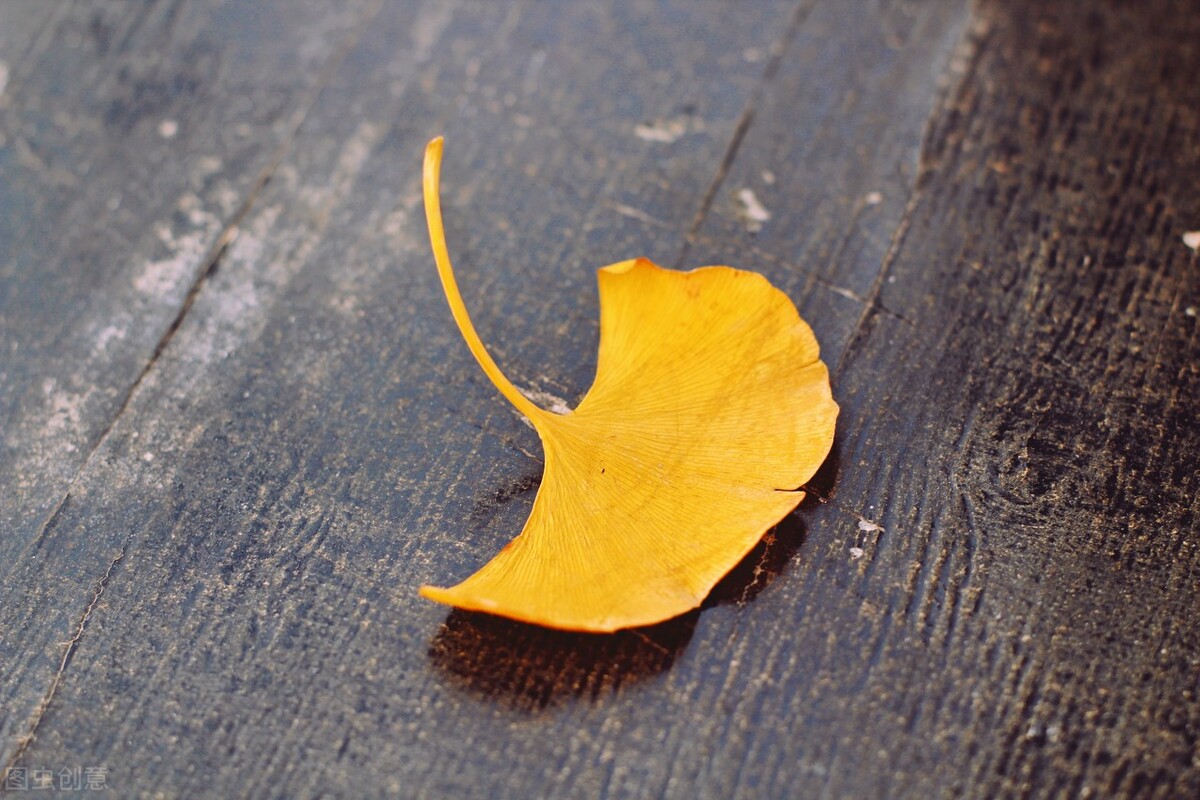 问号的内涵,问号的认识