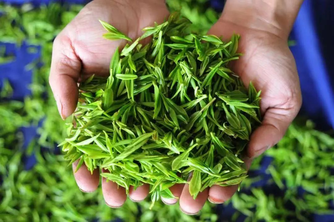 这些交通标志你都认识吗英文,这些交通标志你认识多少