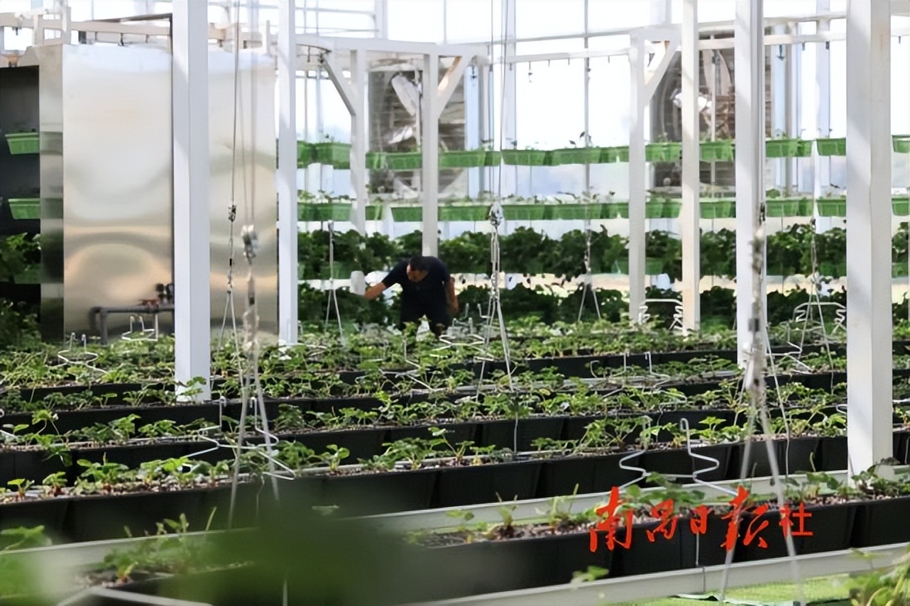 宽创国际完整视频,宽创国际怎么样