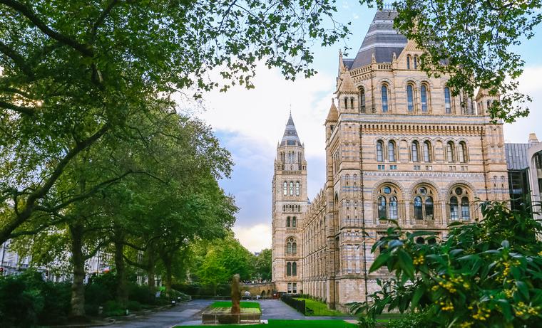 中外合作留学生待遇最新政策,中外合作办学出国生活费