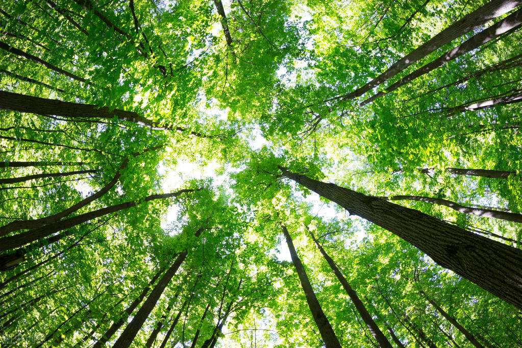 十二首诗词中的“读书乐”，乐时光、乐学识、乐同学、还有乐爱情