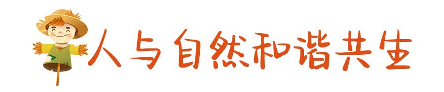 郁金香主题公园稻草人,2022年郁金香花海贵州
