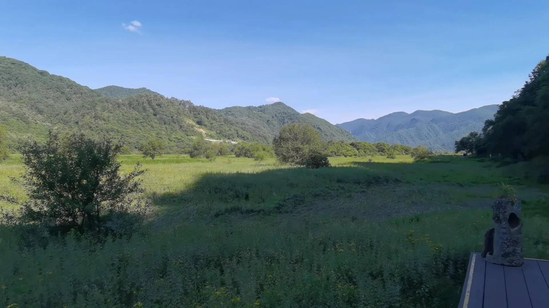 神农顶大九湖一日游价格,神农顶大九湖一日游