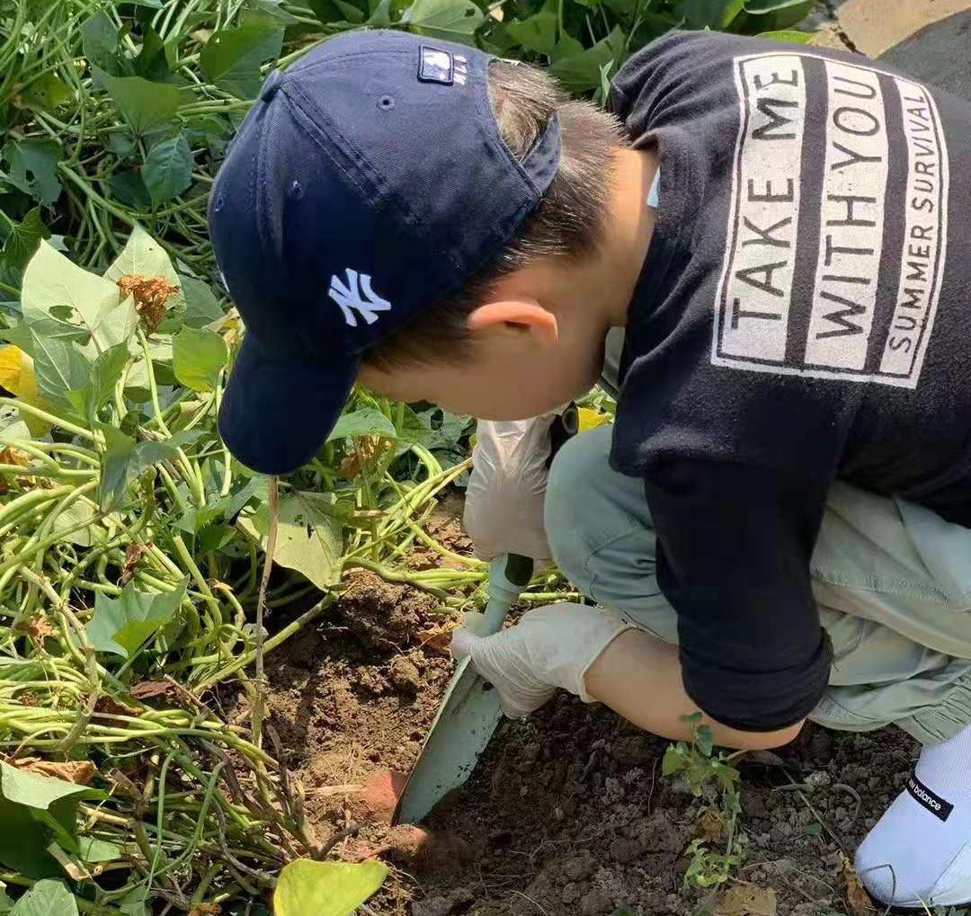 绚烂花海,绚烂花海现在还有吗