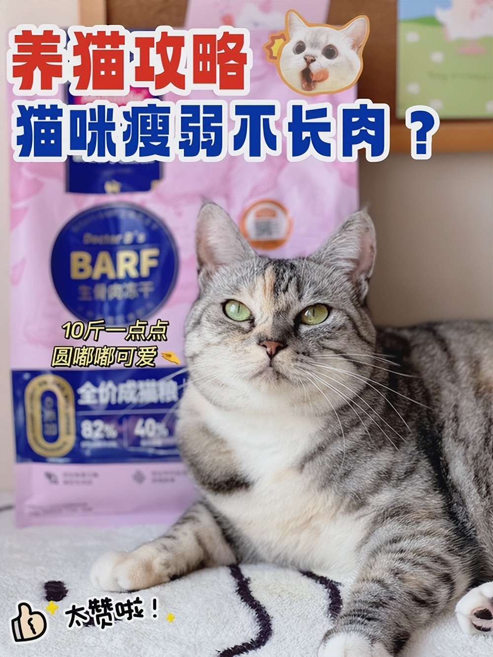 猫咪一直蹲着尿不出来怎么办,猫咪拉不出尿怎么办快速解决