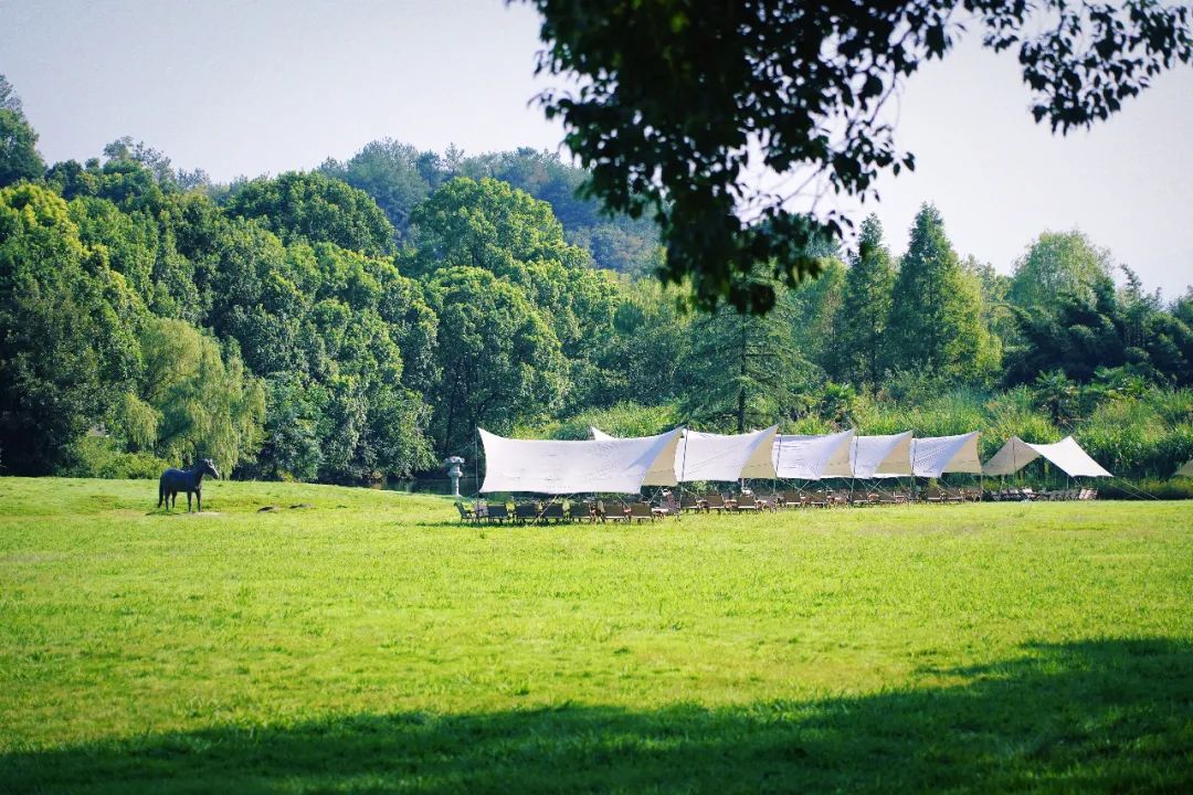 安吉亲子旅游必去的景点,安吉最新亲子旅游度假