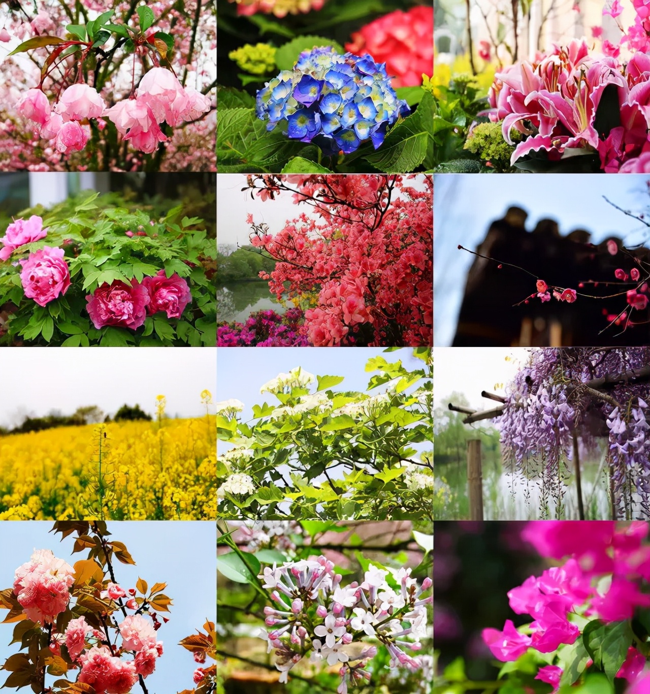 园林景观设计的五大环节,干货园林植物景观设计之空间设计